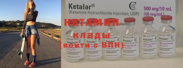 прущие грибы Богданович