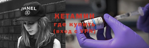 прущие грибы Богданович