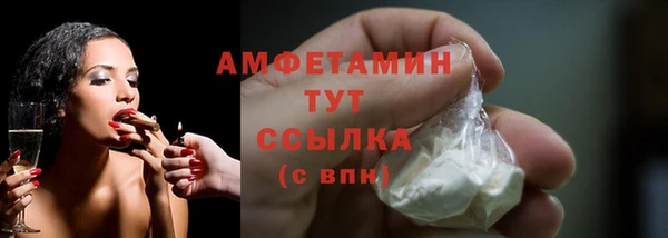 прущие грибы Богданович