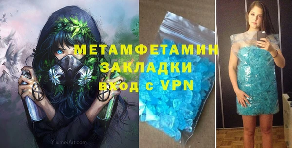 прущие грибы Богданович