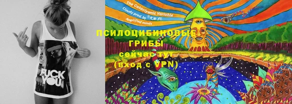 прущий лед Богородск