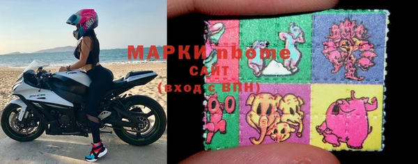 прущие грибы Богданович