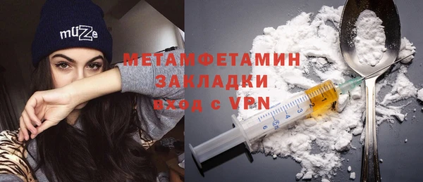прущие грибы Богданович