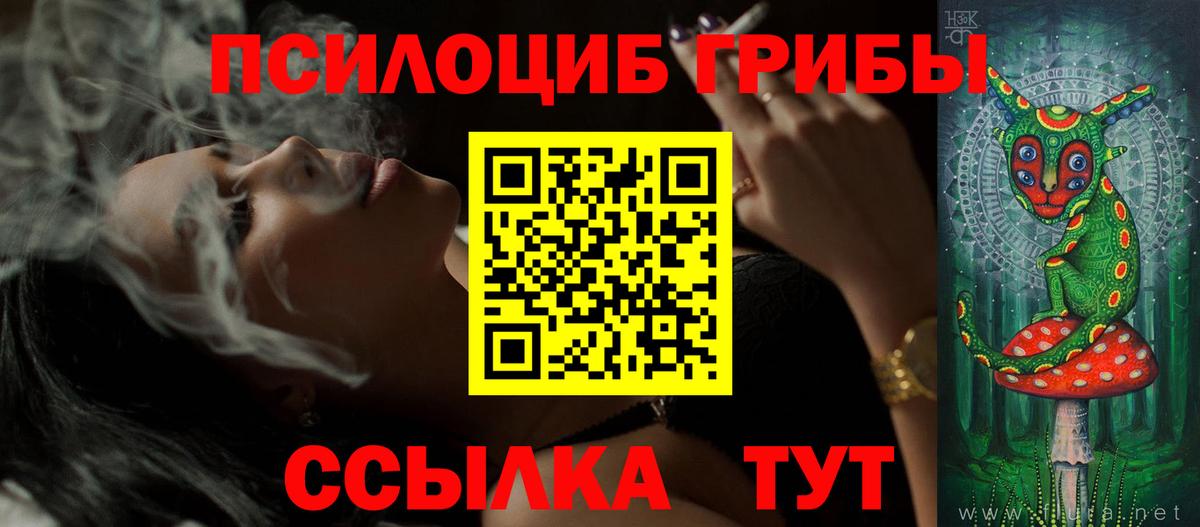 Псилоцибиновые грибы прущие грибы Среднеуральск